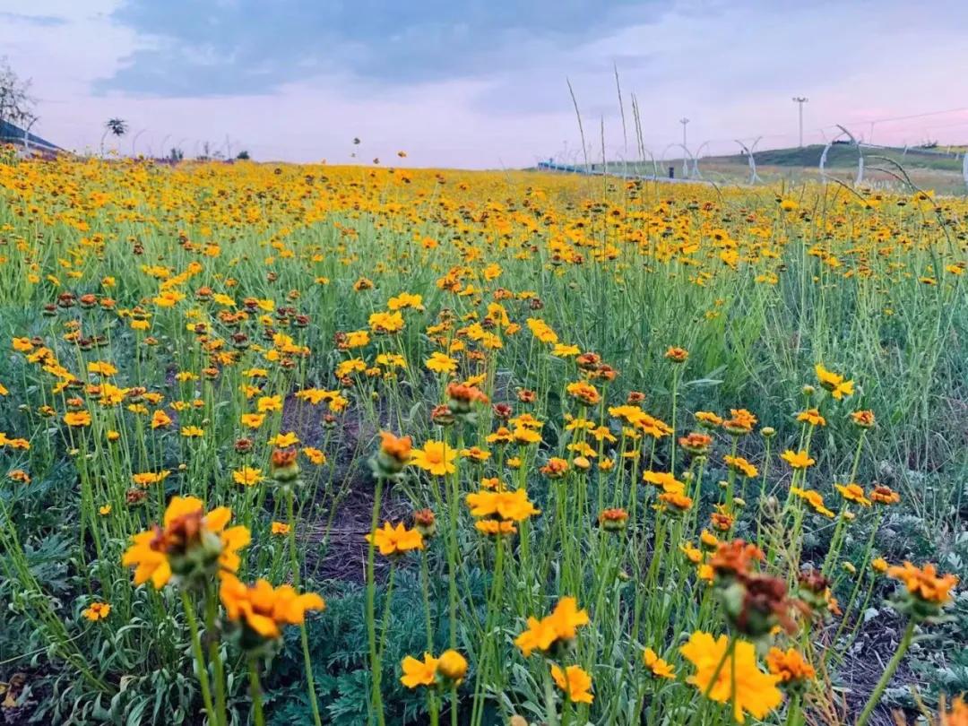 comeonbaby翻译,comeonbaby歌曲女声
