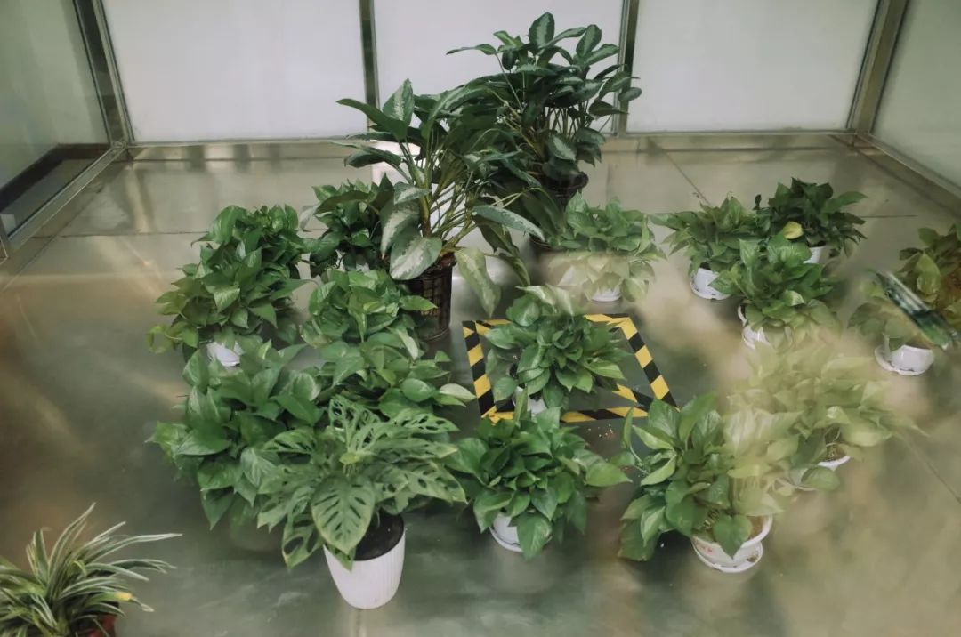 一失败女创业者5000字复盘：到处找生意，竟是找死