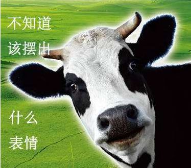 雅思考试瓶颈期视频,雅思备考一个月提分