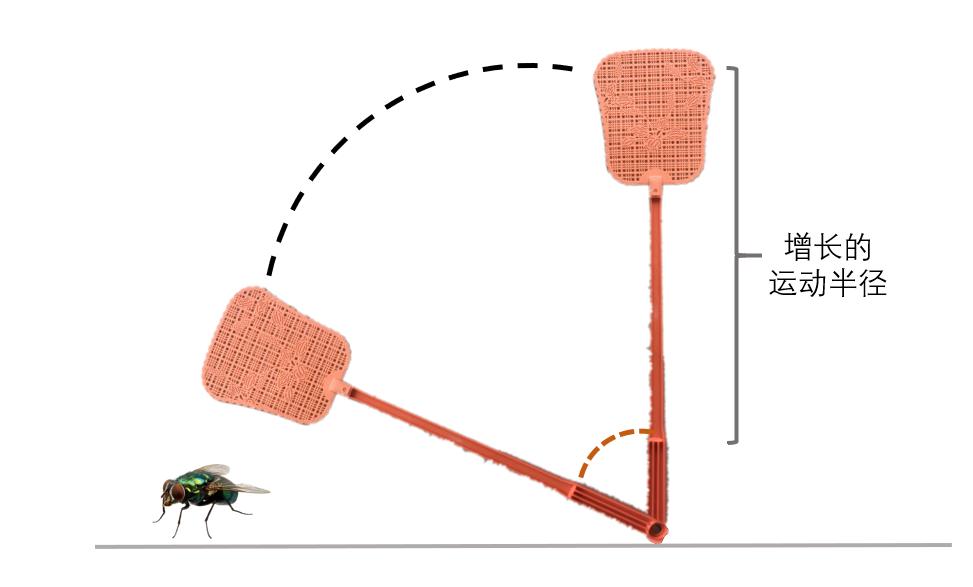 天下武功唯快不破却不能躲子弹,天下武功唯快不破捉苍蝇