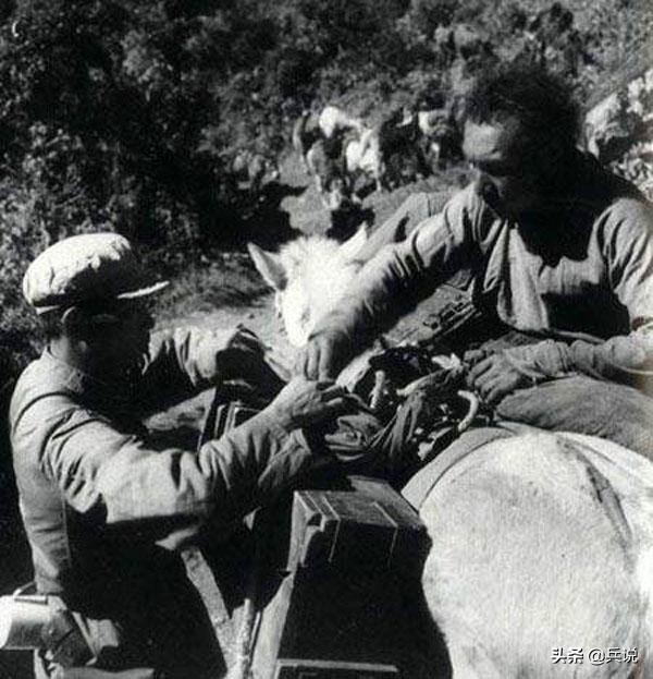 张国华评价印军：军官指挥不行，单兵能拼*刀刺**，不完全是豆腐兵