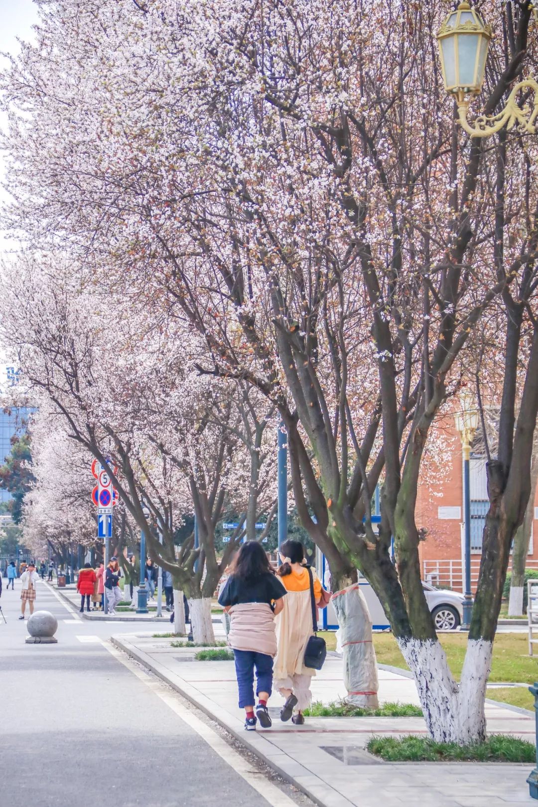 西南民大值得去读吗,西南民大是什么级别