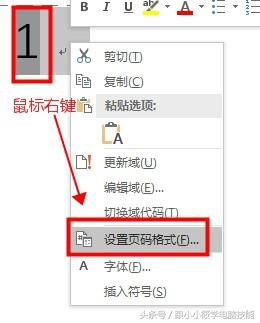 word中怎样设置不同的页码格式,word中如何设置想要的页码格式