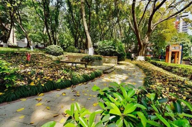 重庆一中和重庆七中哪一个好,重庆一中是国家重点中学吗