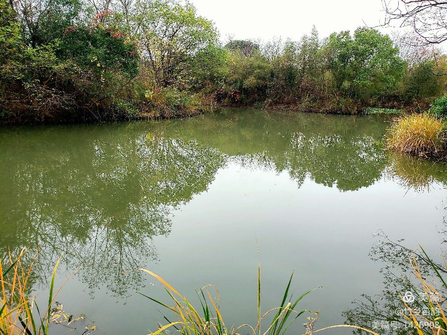 绝美西溪,西溪南冬季景色