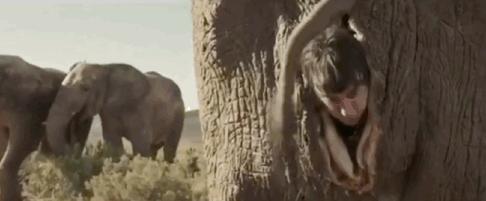 五部让你笑掉大牙的喜剧片,这十五部喜剧电影你看过了吗