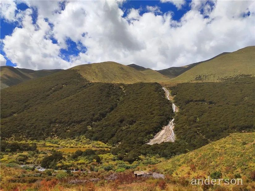 陪着贡嘎过仲秋，深夜听到女生的尖叫（上）