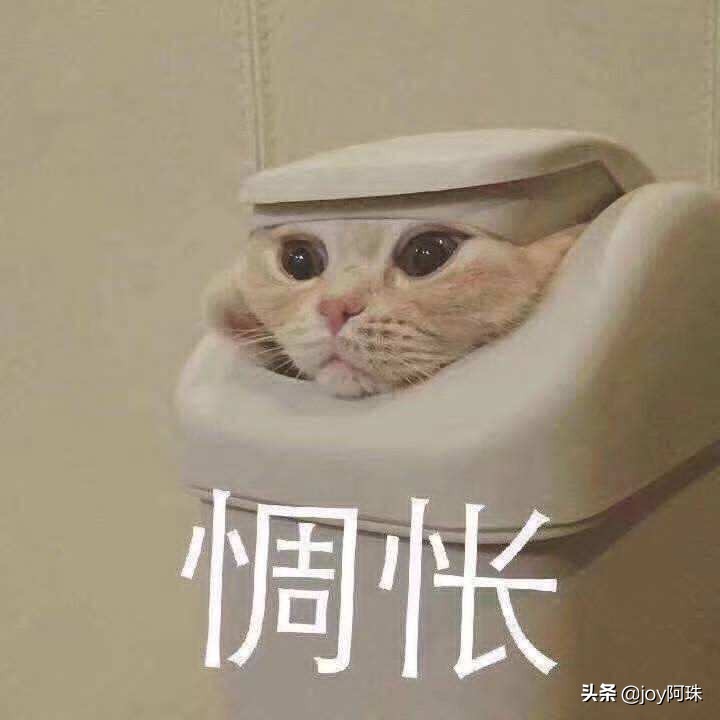 十款零差评换季水乳推荐,混油皮水乳推荐真实测评平价