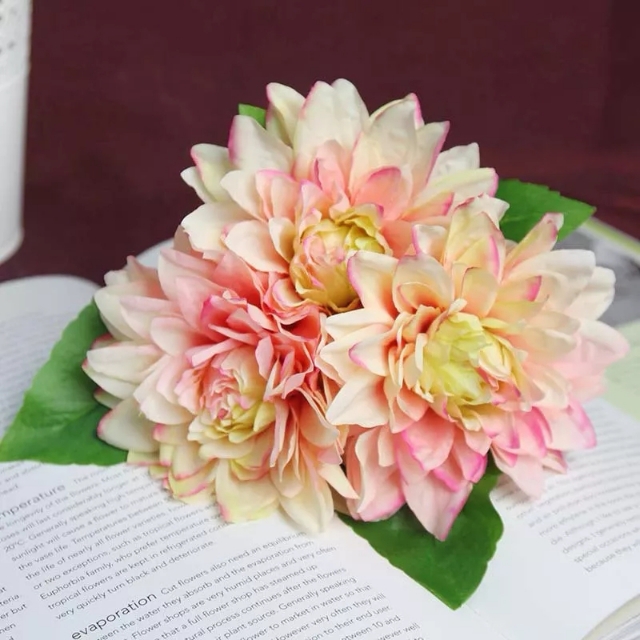 花语大全：各种鲜花的花语，不同颜色寓意也不一样啊