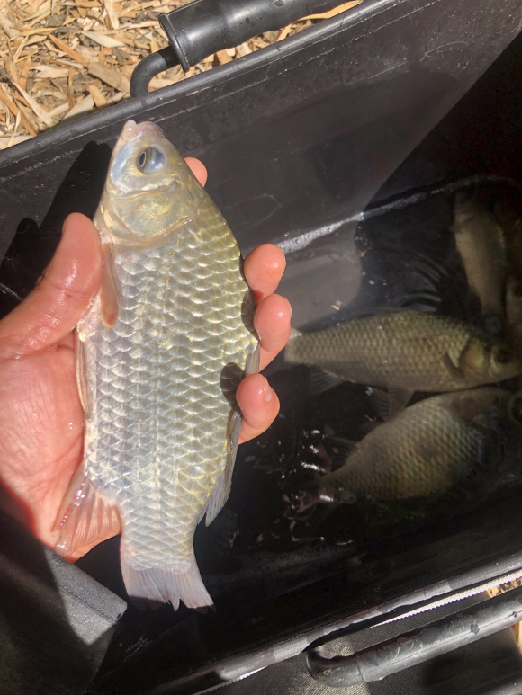 简单实用的渔具包,加大加宽渔具包