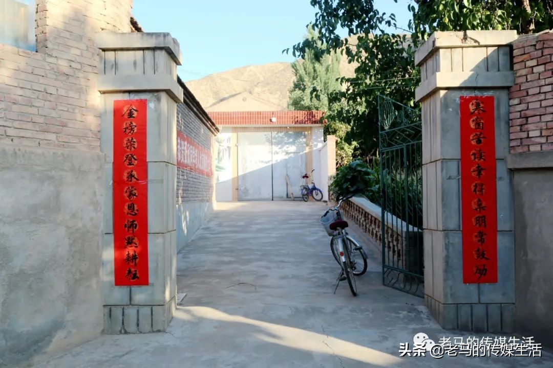 张欣人物简介,张欣是一个怎么样的人