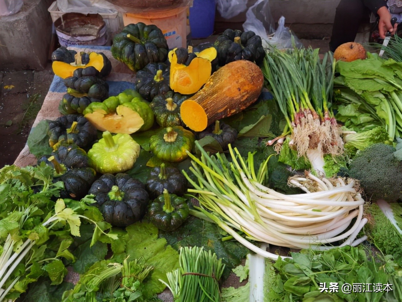 瓜瓜豆豆的视频,瓜瓜豆豆视频