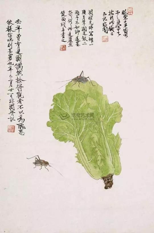 画白菜技法,3d白菜画