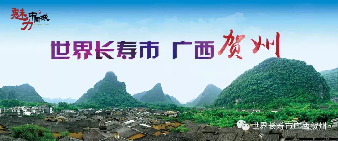 昭平县十大美食,人间美食何处有