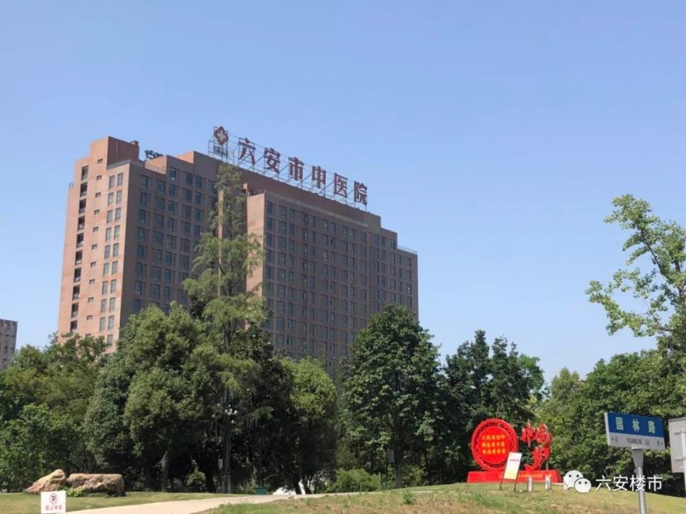 六安房价最贵的房子,六安十大最贵二手房小区曝光