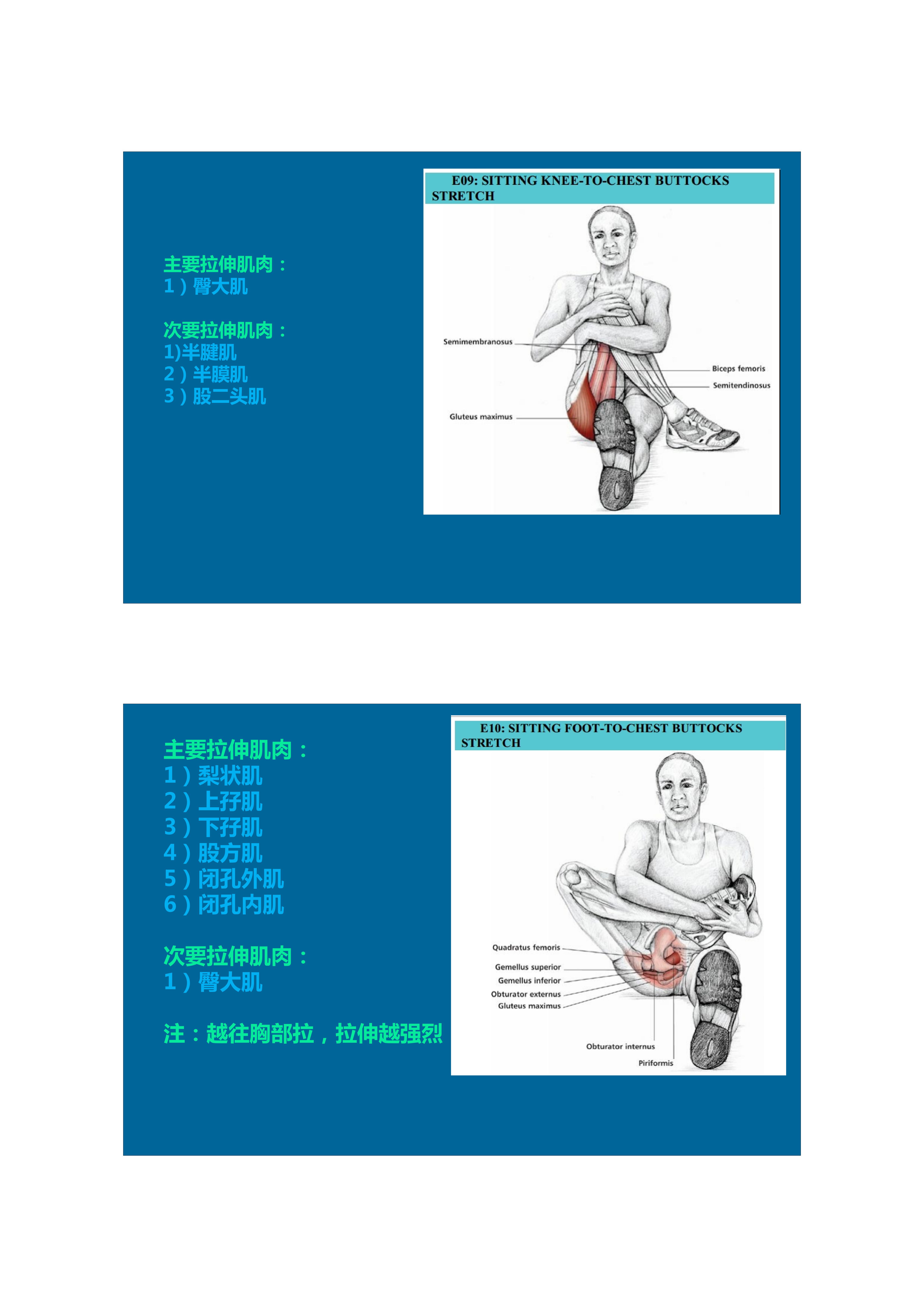 1分钟拉伸动作视频,拉伸腿部技巧
