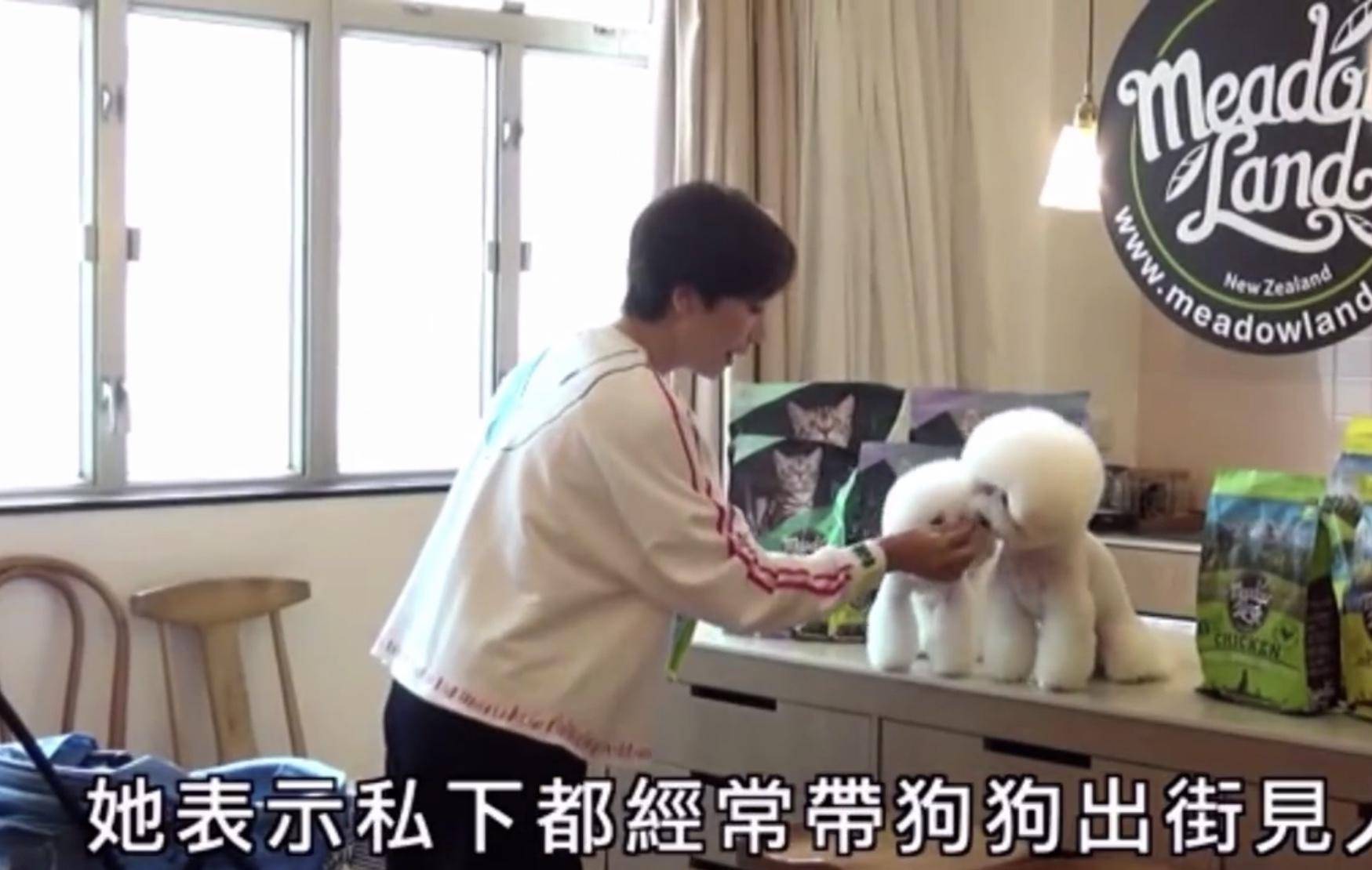 90年代女明星代言的洗发水,拍过洗发水广告的女演员