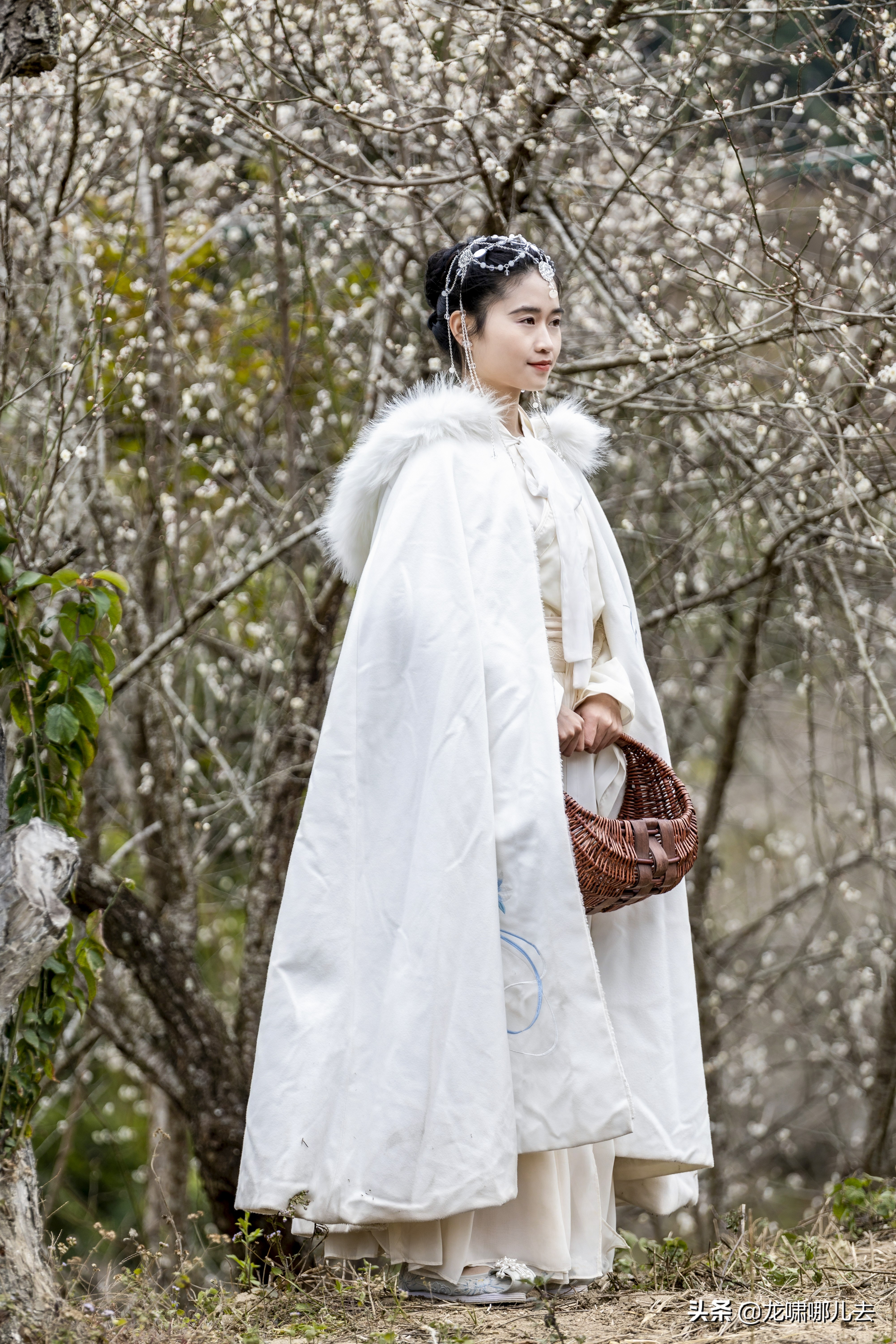 梁化梅园梅花观赏最佳时间,惠州梁化梅园看梅花时间