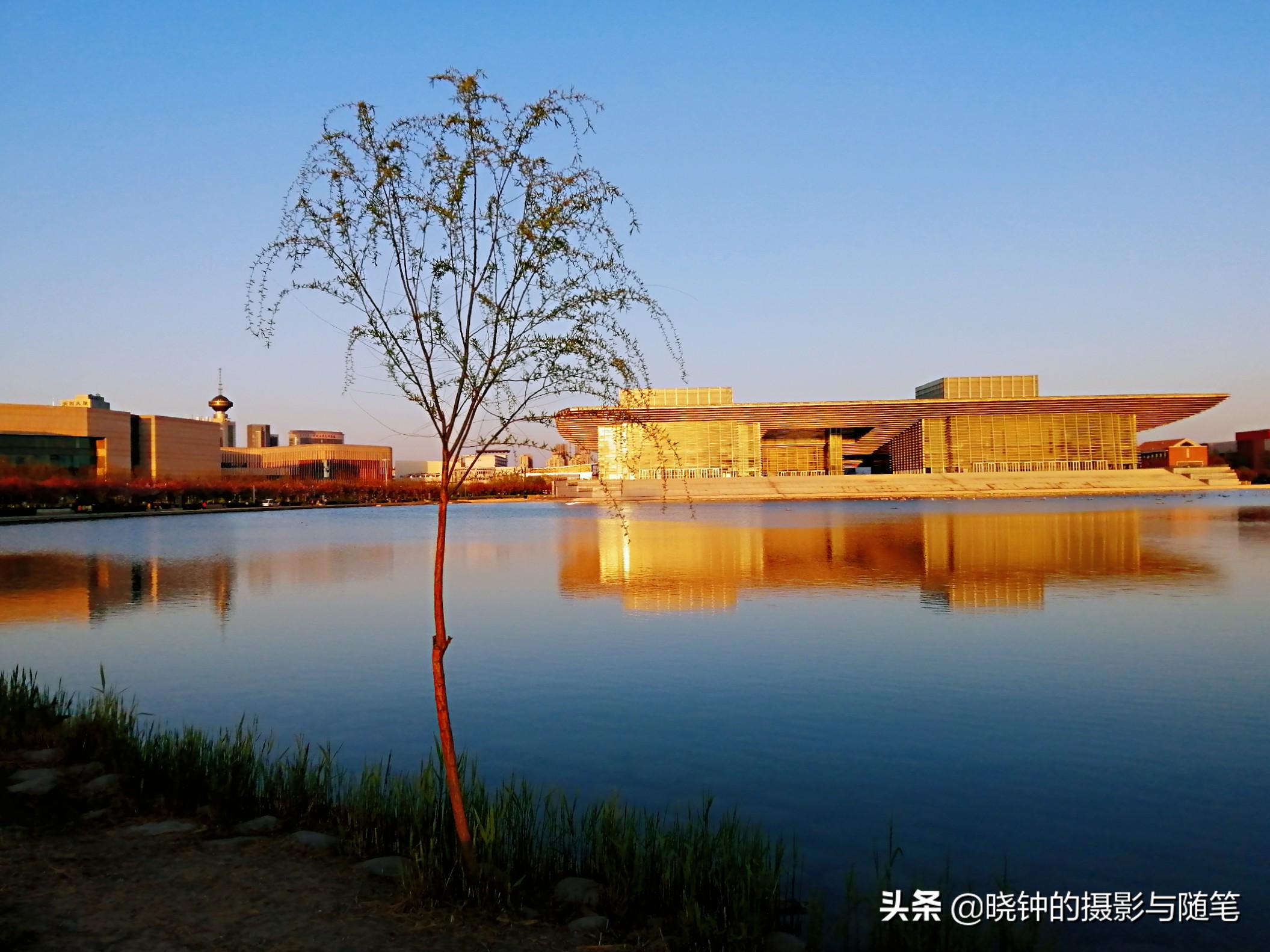 姹紫嫣红的天津文化中心，让人感受到这座城市的文化氛围与格调