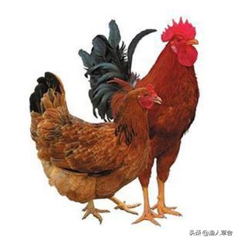 大连特色农产品有哪些,辽宁省农产品地理标志产品都有啥