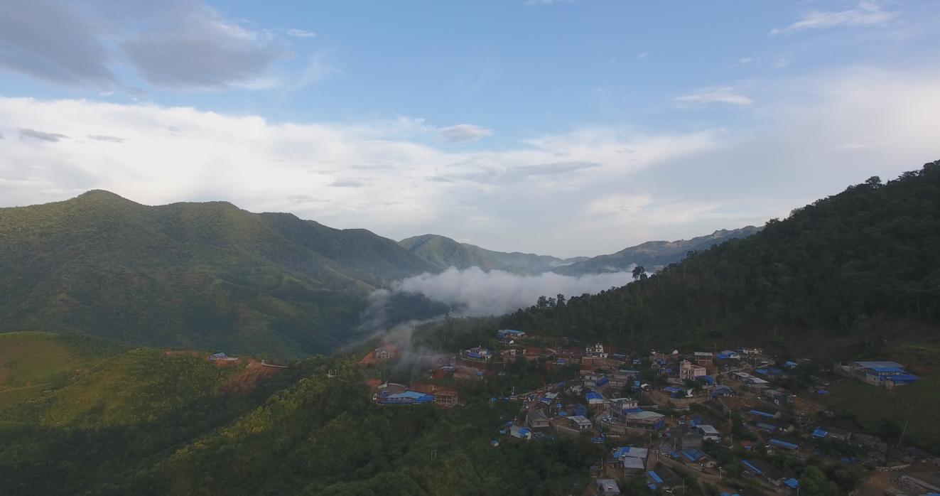 新茶上市快来选购吧,教你如何正确选购新茶