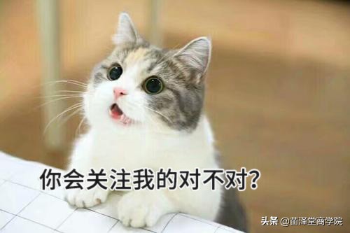 号外号外!!苗泽堂茶多酚卫生巾上央视广告啦