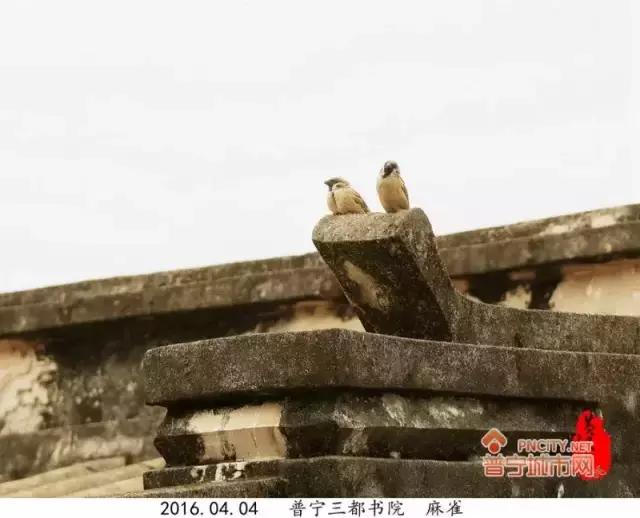 普宁三都中学怎么样,普宁都有哪些学校