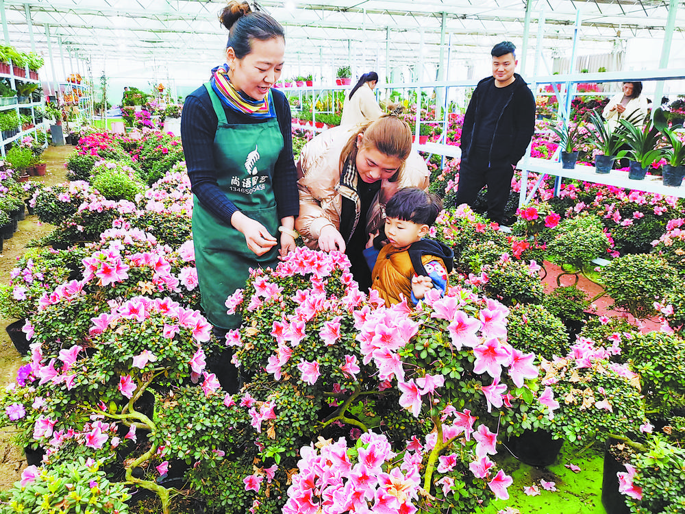 我,50岁,山东女人,老公生意失败欠款1000万,我种花帮他还债