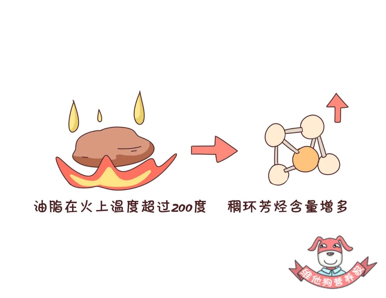 抵挡不了吃的诱惑,烤串撸串攻略