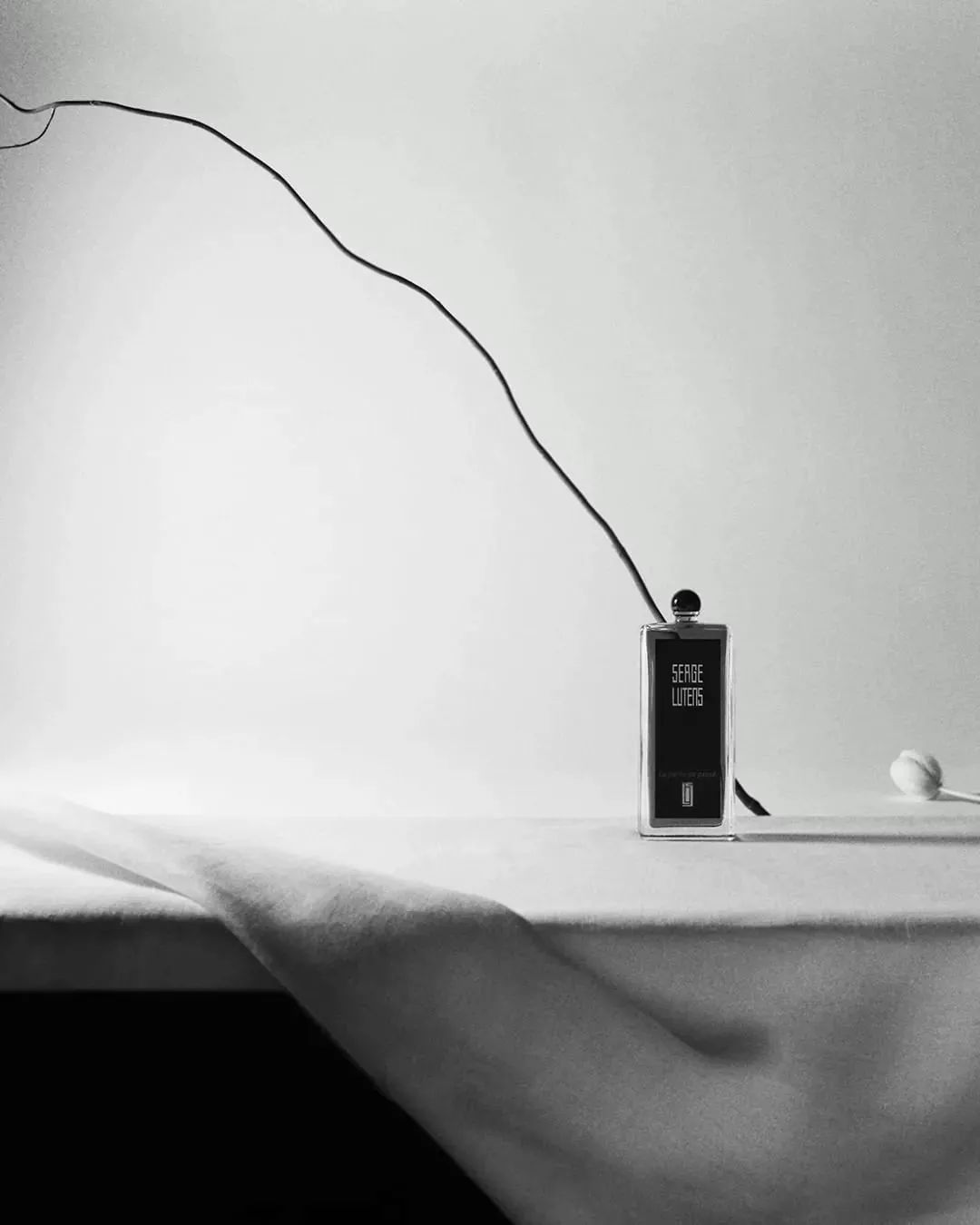 资生堂恬静幽香的香水,资生堂的高端护肤品