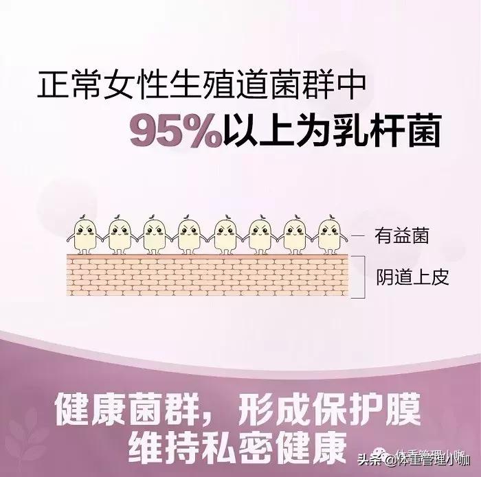 女士益生菌和普通益生菌的区别,聊聊成人益生菌