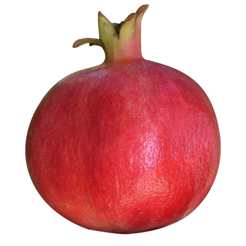 大果型突尼斯软籽石榴树详细介绍,突尼斯软籽石榴适合种植什么地区