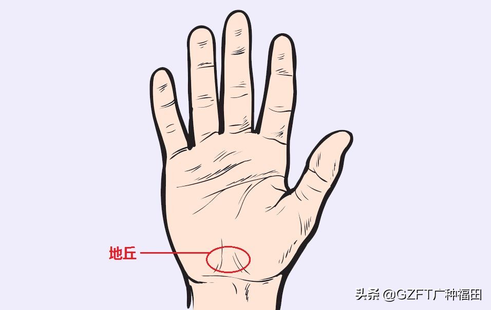 5分钟学会看手相,如何从零开始学会看手相