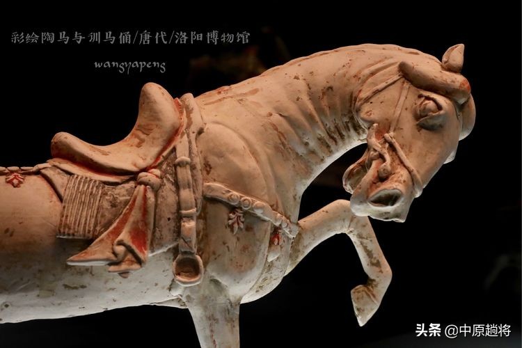 洛阳博物馆专门为二十多件珍宝成立了一个展馆