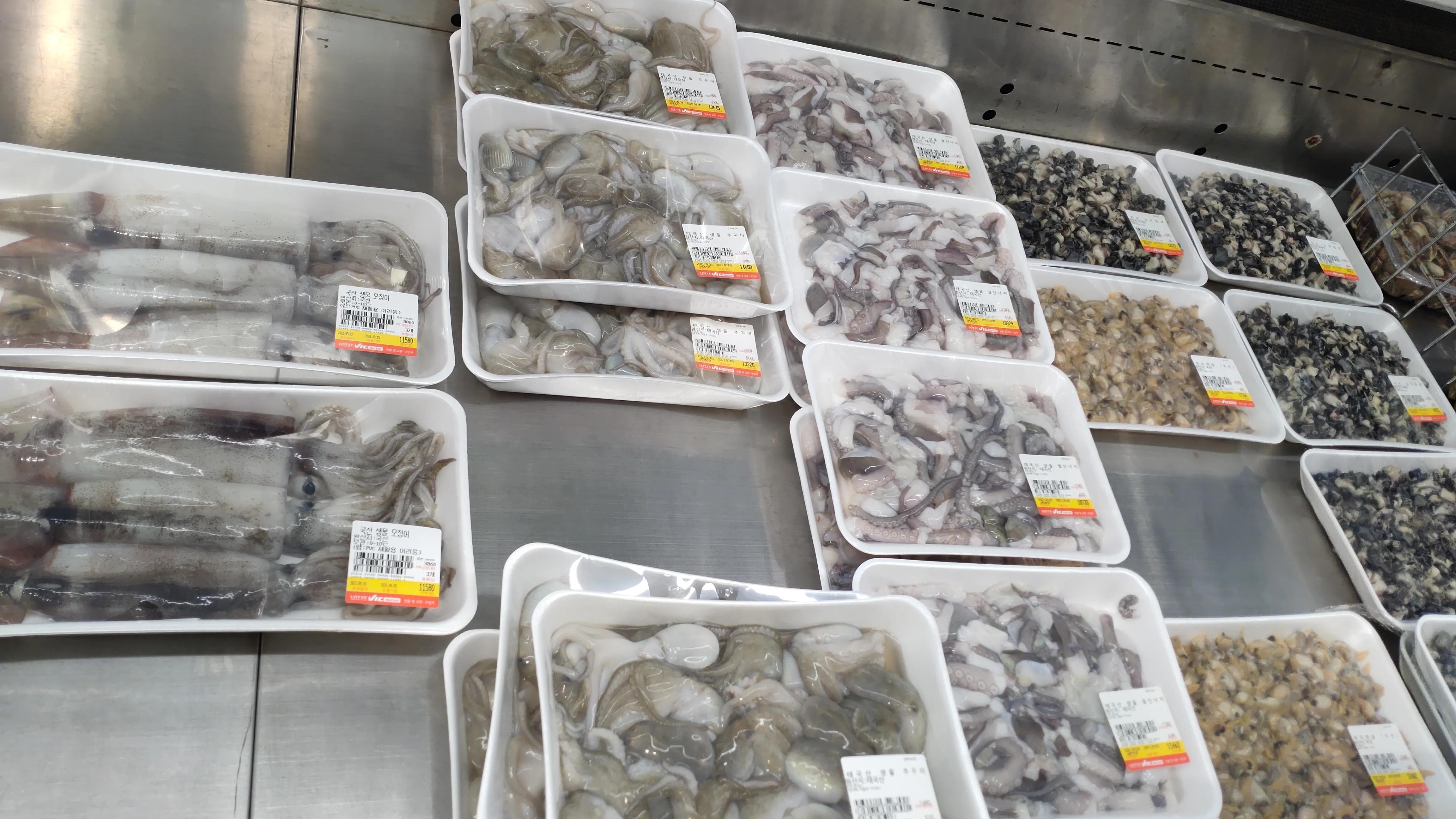 首尔layered咖啡,首尔很多萨摩耶的地方