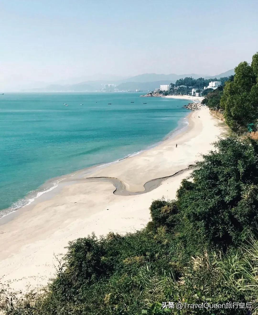 动物森友会无人岛一天可以去几次,动物森友会所有虫类图鉴