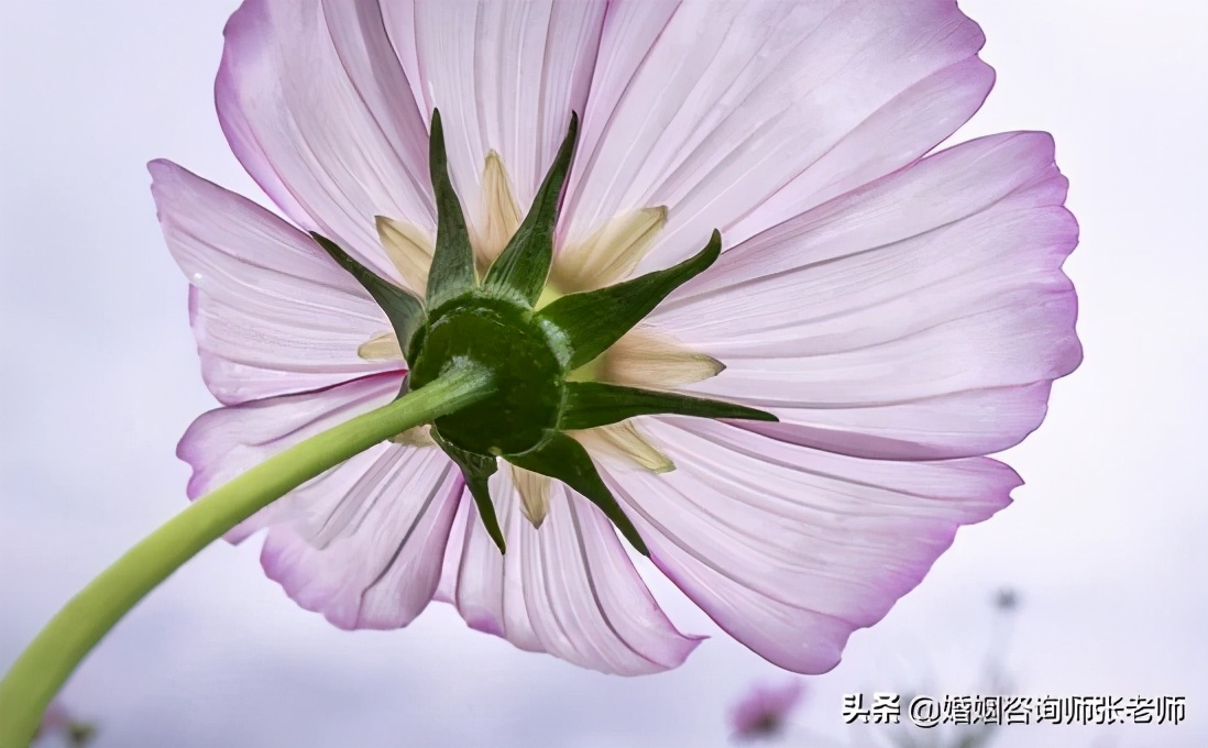 怎么挽救破裂的婚姻？千万不要死缠烂打，做到这六点胜过千言万语