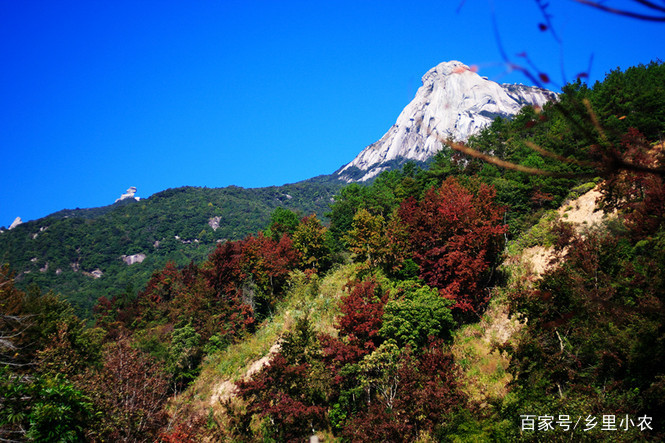 云髻山自然保护区游玩攻略,广东新丰云髻山风景区