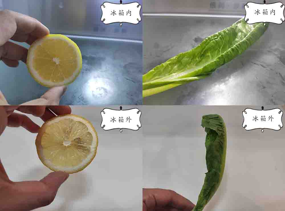 美的465升变频冰箱,美的465L冰箱