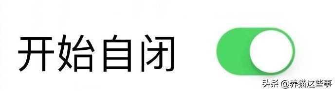 猫咪到处拉屎拉尿怎么除臭,带猫咪出门怎么解决排泄问题