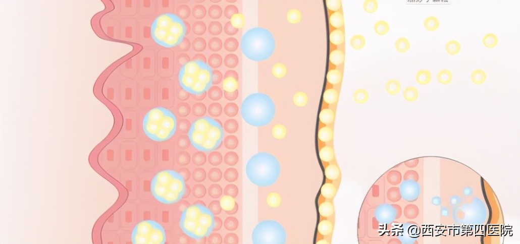 安心变美推荐,安心变美护肤