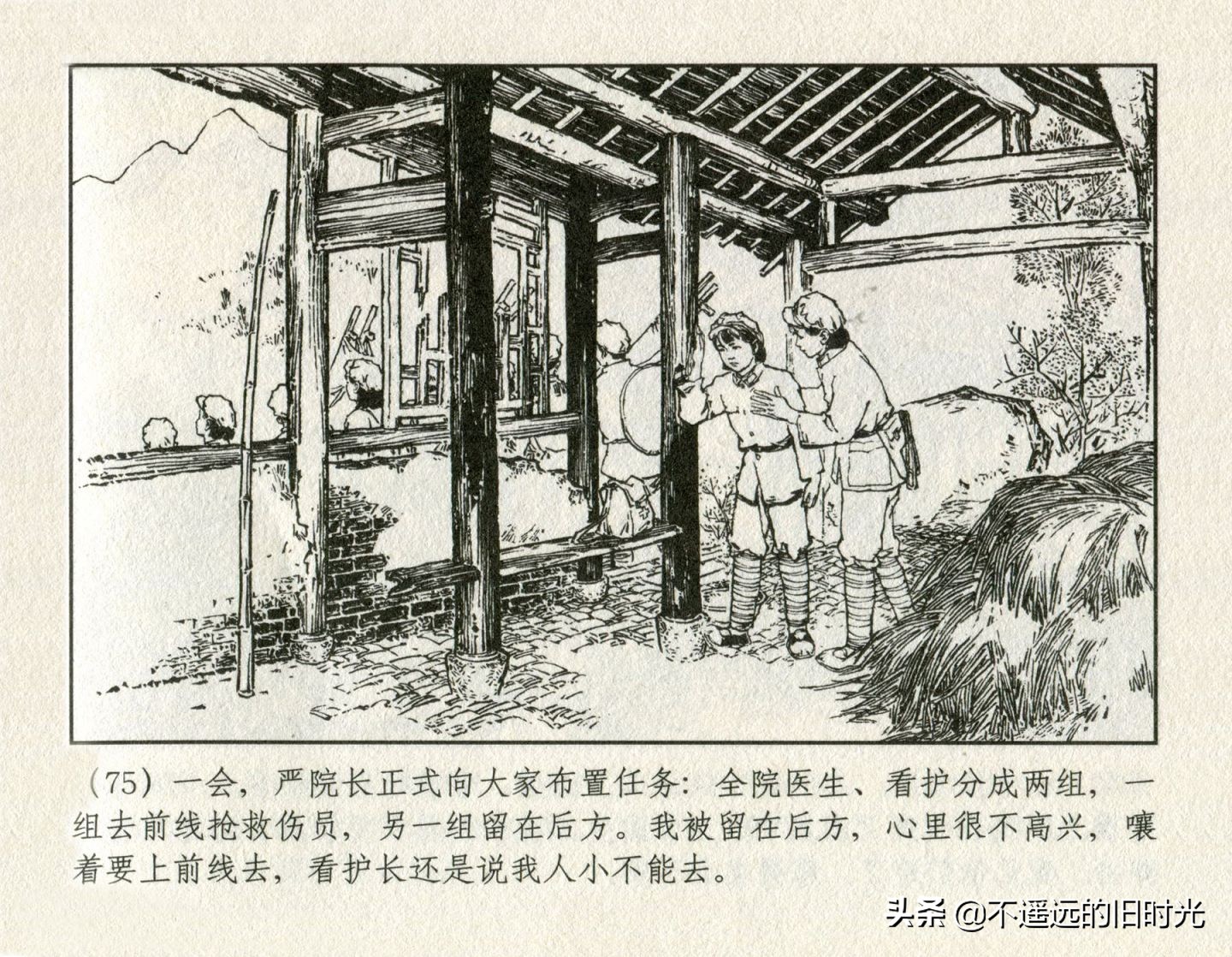 朝阳花-上海人民美术出版社1981初版2016再版陆成法陆小弟绘