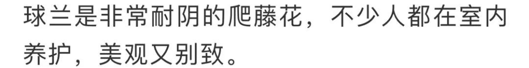 看到花的时候,不知是什么花?那就收下这份百花图谱