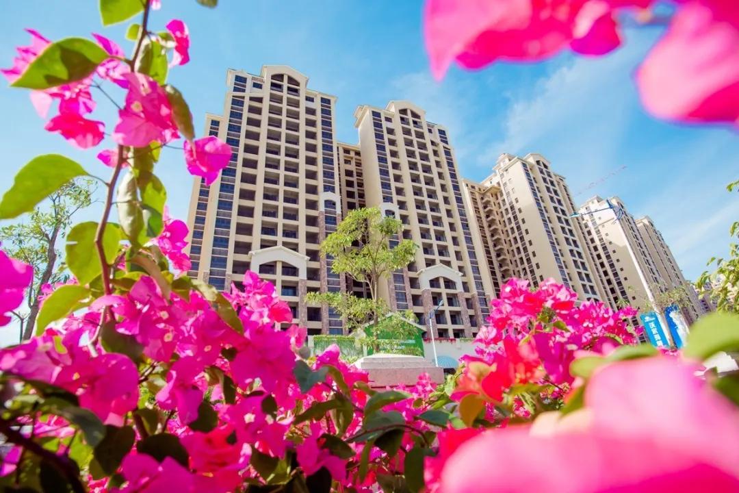 惠州这个社区获选最美小区，他的业主这样说