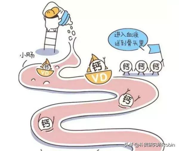 正品钙片怎么选购好品牌,买儿童钙片怎么选