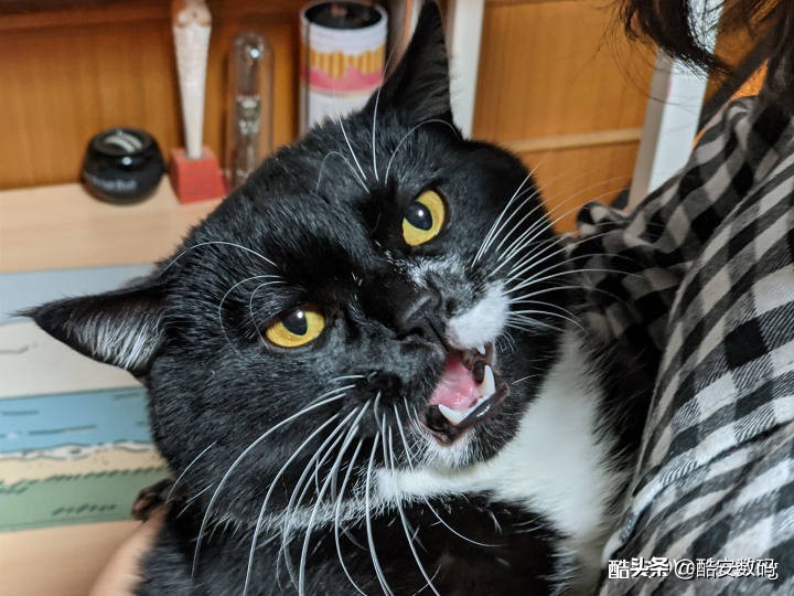 谷歌pixel4,pixel4xl最大亮度