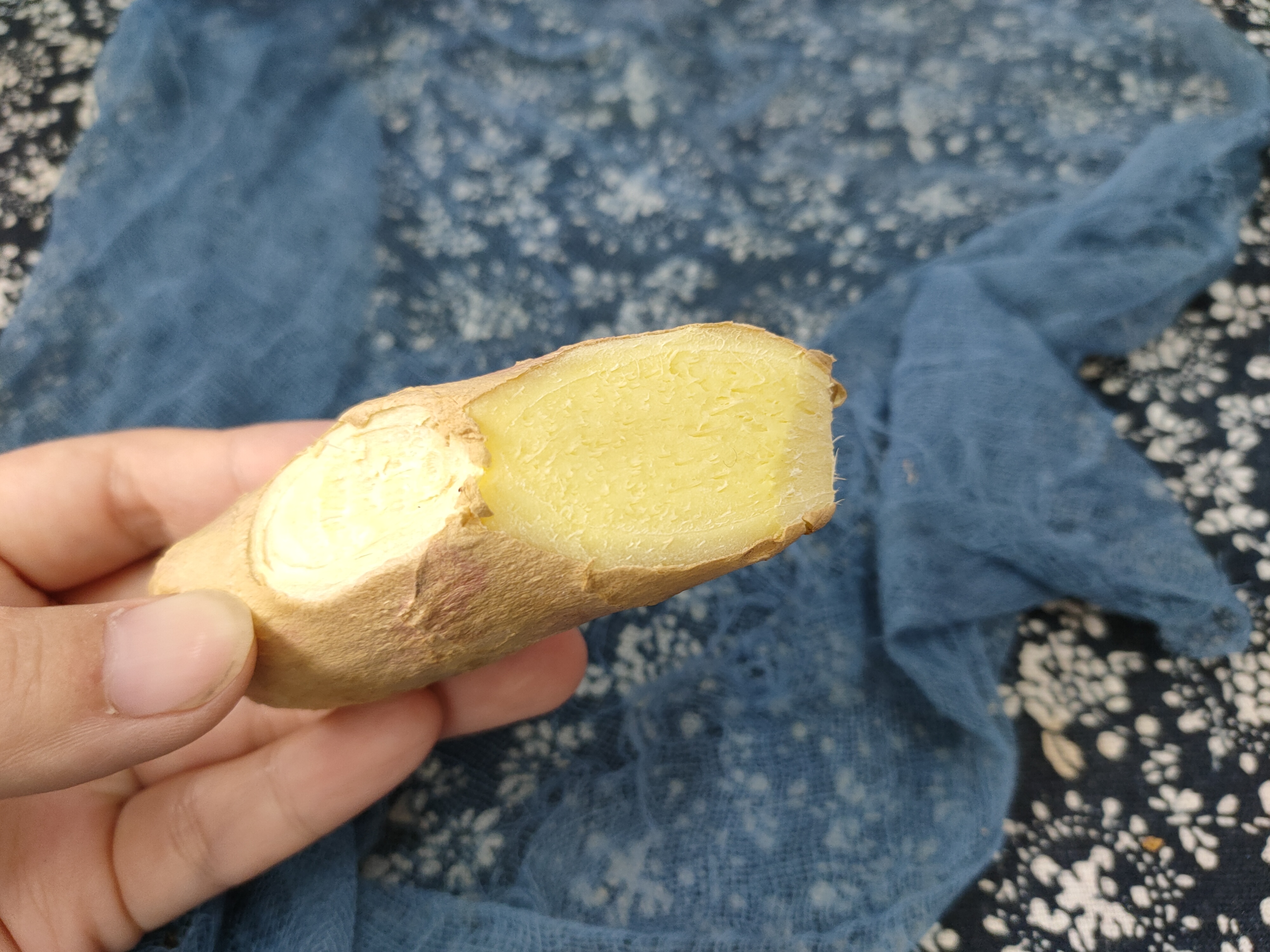 怎么保存生姜不烂不干不发芽,生姜保存小窍门