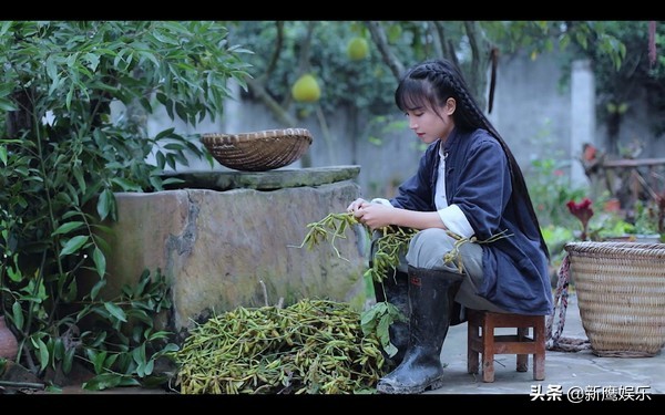 被央视点名的正能量网红,被央视新闻报道过的网红