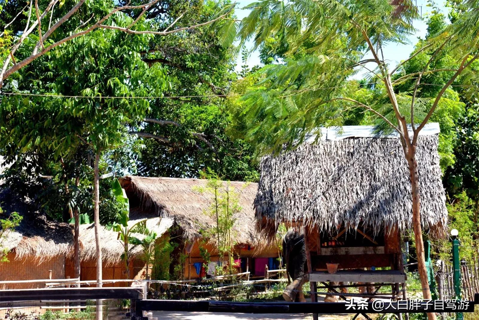 泰国风情之旅完整版,泰国风情记