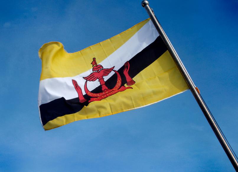 把华人印到*旗国**上，富得流油的世外桃源，王子放弃王位只想踢球！